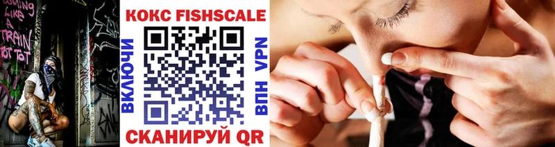 COCAIN Fish Scale  закладка  Калининград 