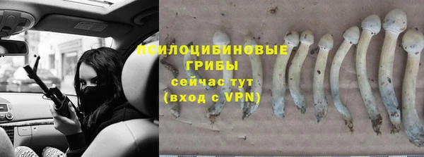 герыч Бугульма