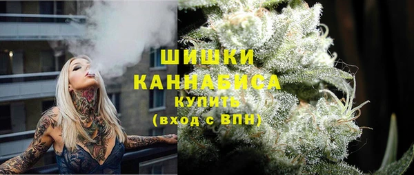 гашик Бронницы