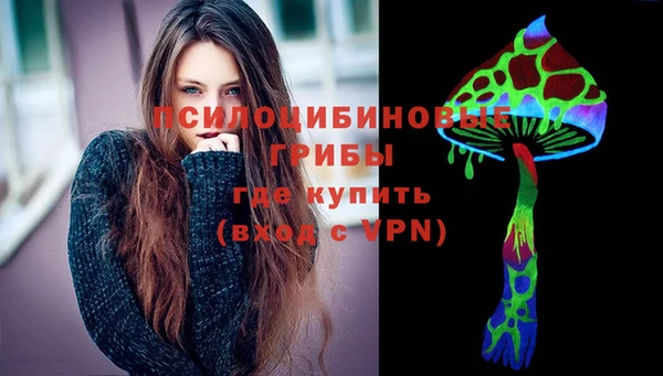 гашик Бронницы