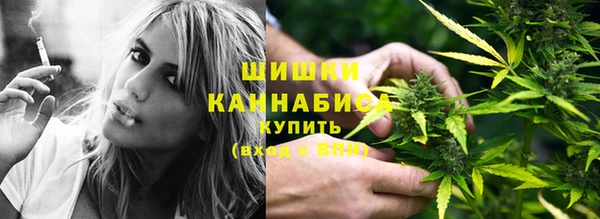 гашик Бронницы