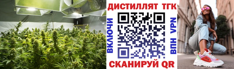 Дистиллят ТГК концентрат  Калининград 
