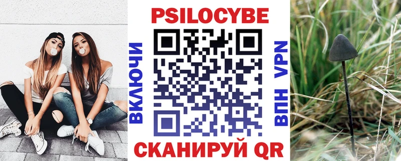 Псилоцибиновые грибы прущие грибы Калининград