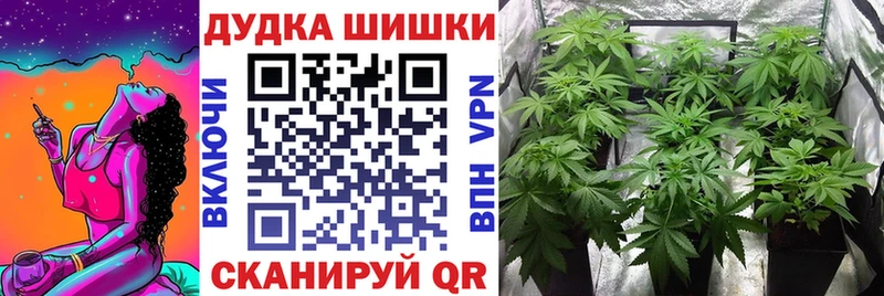 продажа наркотиков  Калининград  Бошки марихуана SATIVA & INDICA 